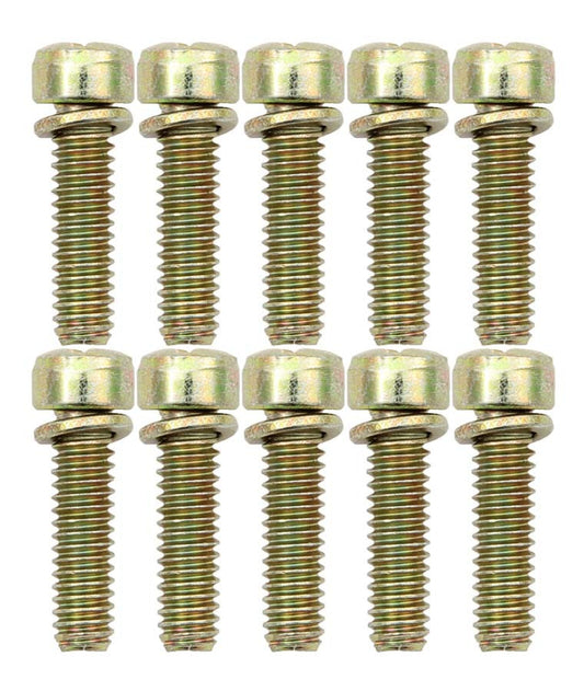 AED Performance Throttle Body Screws (10pk) 6224X