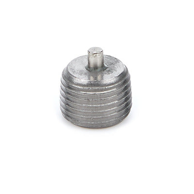 Brinn Magnetic Plug