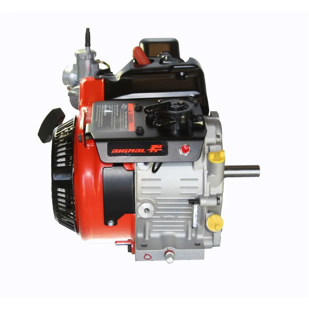 Briggs LO206 Racing Kart Engine