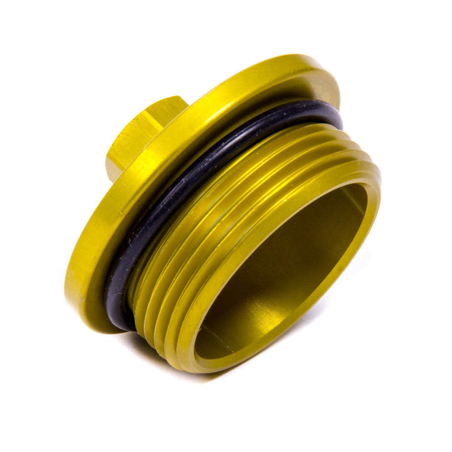 DMI Large Inspection Plug