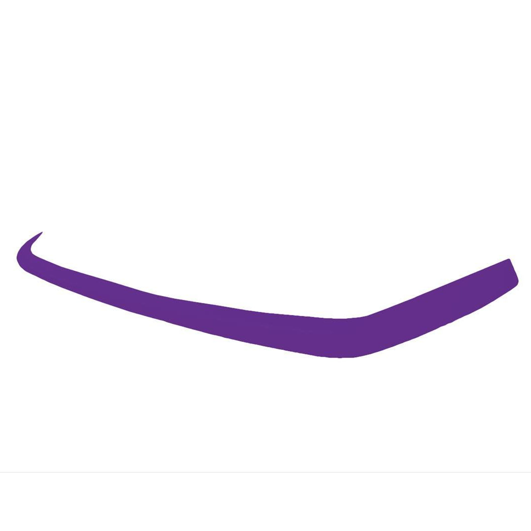 Dominator Late Model Valance Cover Purple 2304-PU