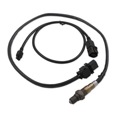 Innovate Motorsports LSU4.9 Upgrade Kit 3ft Sensor Cable + O2 Sensor 38960