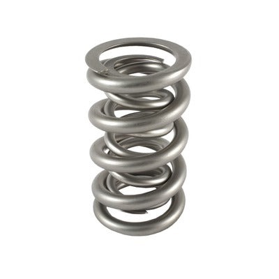 PAC 1.300 Dual Valve Spring PAC-1335