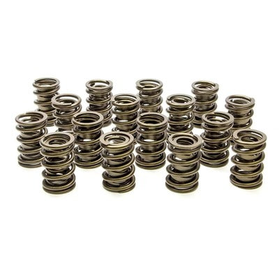 PAC Valve Springs - HR Series (16) PAC-1924-16