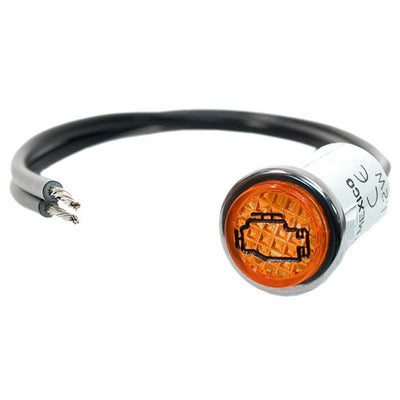 Check Engine Light (amber)