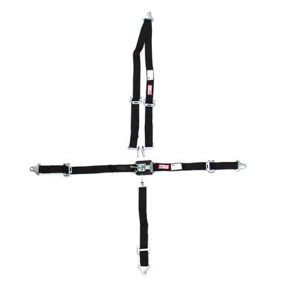 RJS 5-Point Latch-and-Link Jr. Dragster Harness