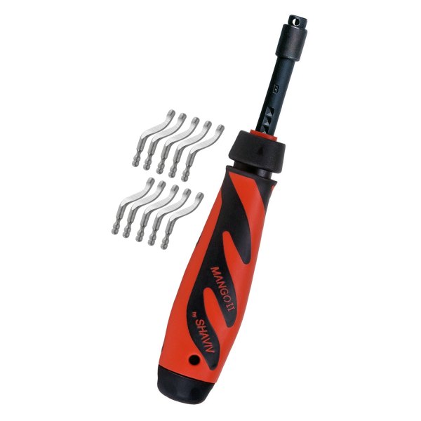Shaviv Bonus Pack Handle Holder Plus 10 B10s Blades