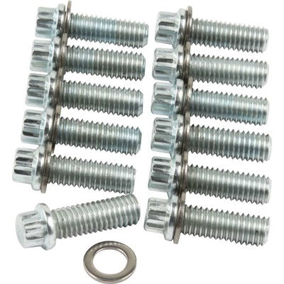 Allstar Intake Manifold Bolt Kit SBC 12 Pt
