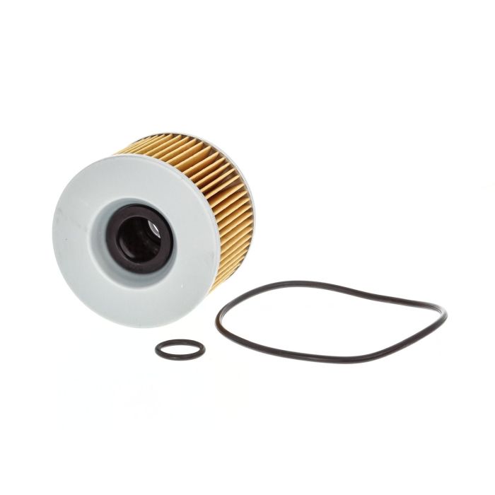 Fram Extra Guard Oil Filter Cartridge CH6012