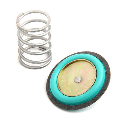 Holley Rebuild Kit for 12-843 Regulator