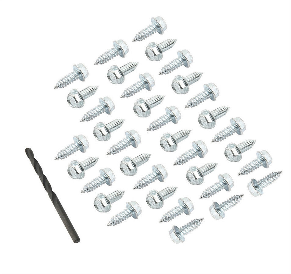 Mr. Gasket Wheel Rim Screw 4318