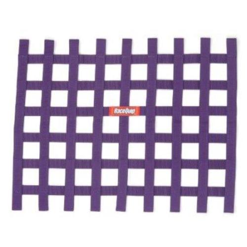 RaceQuip Non-SFI Ribbon Window Net