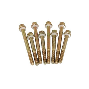 AED Performance 4160 Fuel Bowl Screws (8) 5250