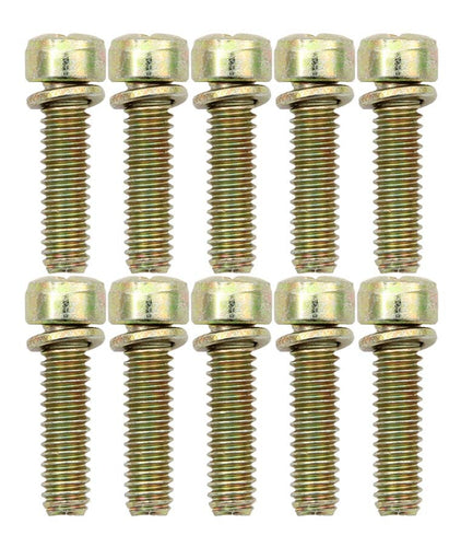 AED Performance Throttle Body Screws (10pk) 6224X