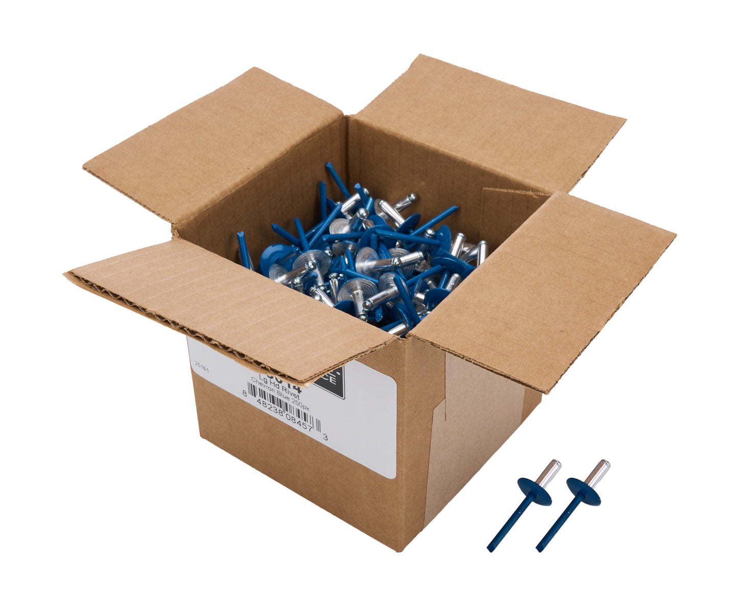 Box of Allstar Large Head Rivets Blue 250pk