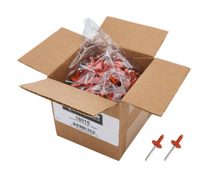 Box of Allstar Large Head Rivets Orange 250pk