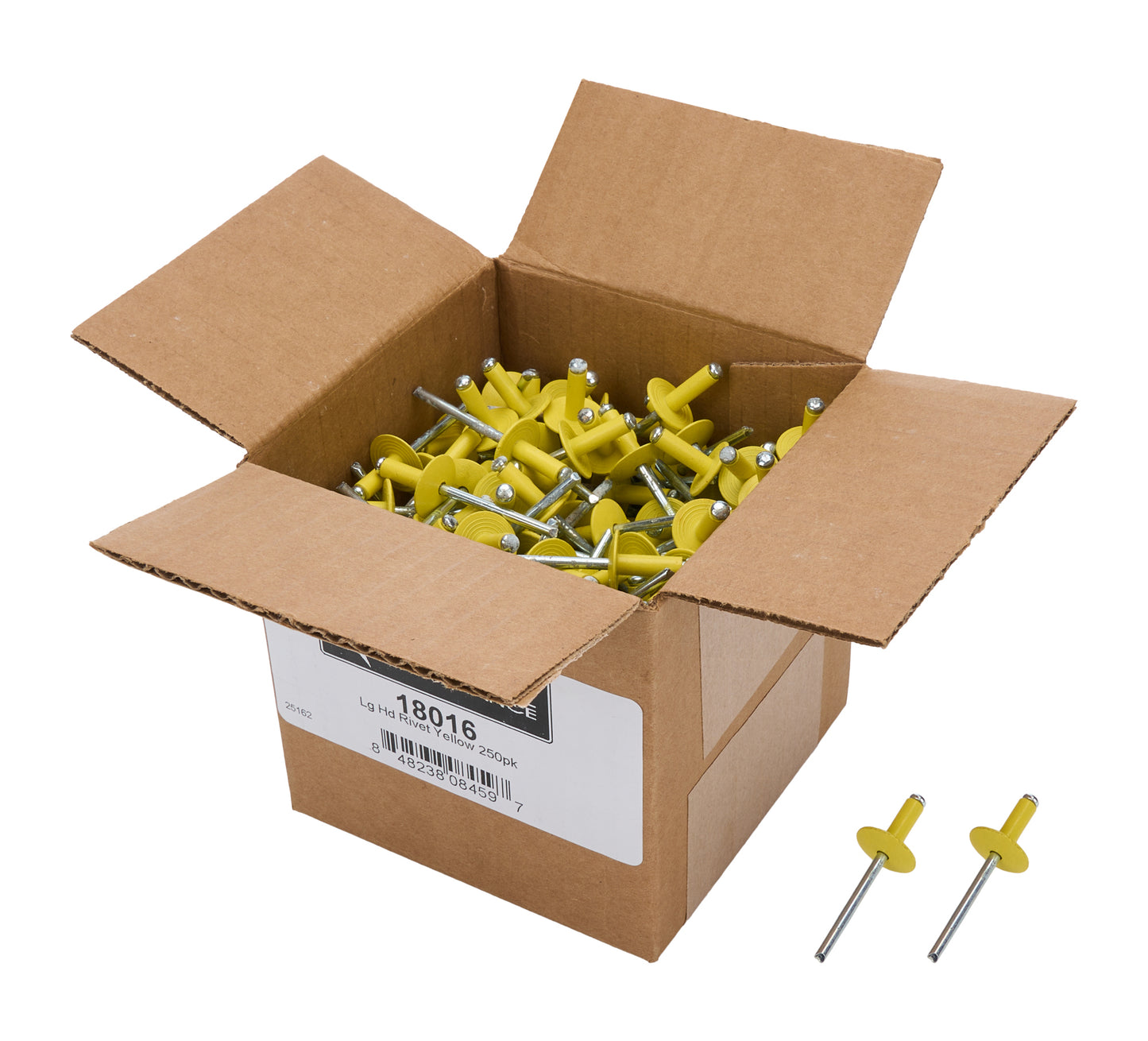 Box of Allstar Large Head Rivets Yellow 250pk