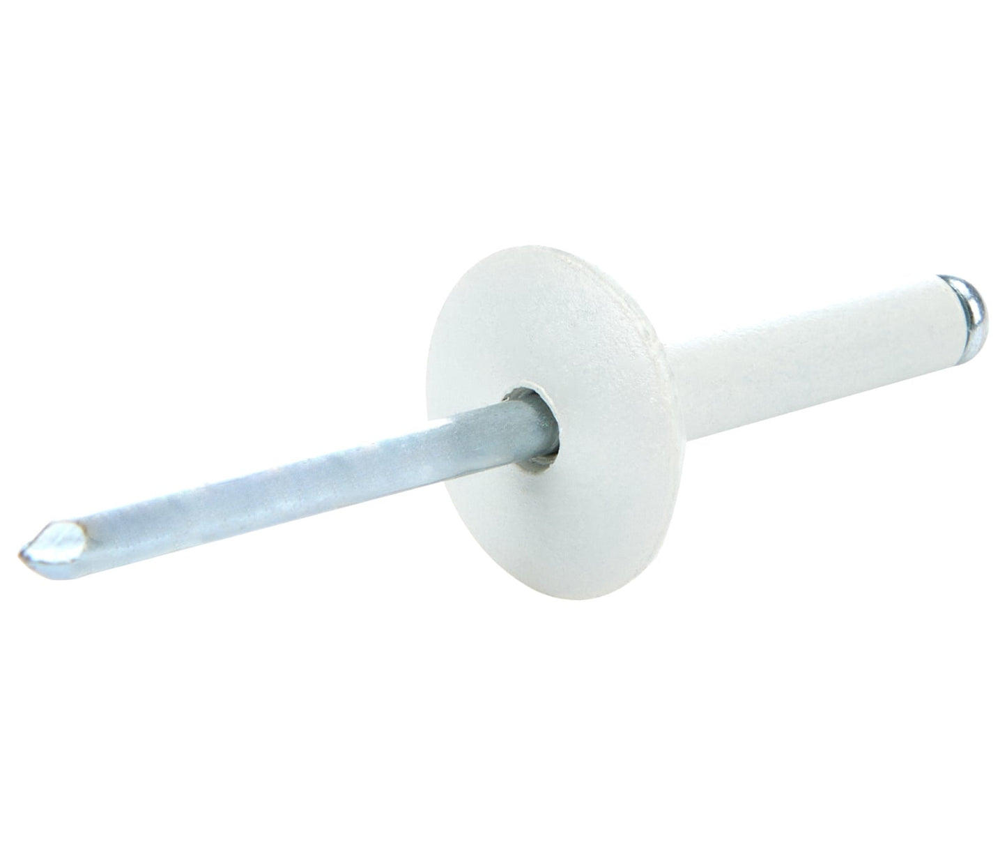 Allstar Large Head Rivet White