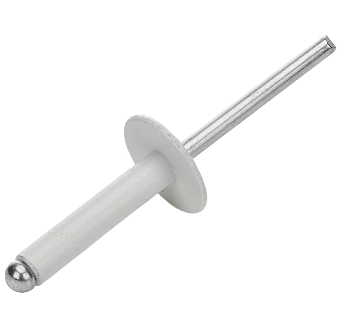 Allstar Large Head Rivet White
