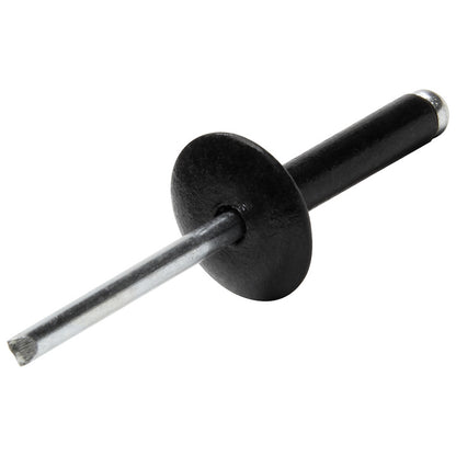 Allstar Large Head Rivet Black