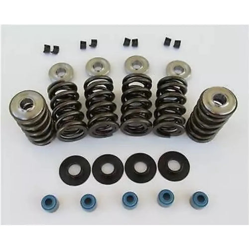 Cam Motion Valve Spring & Retainer Kit VSK142201