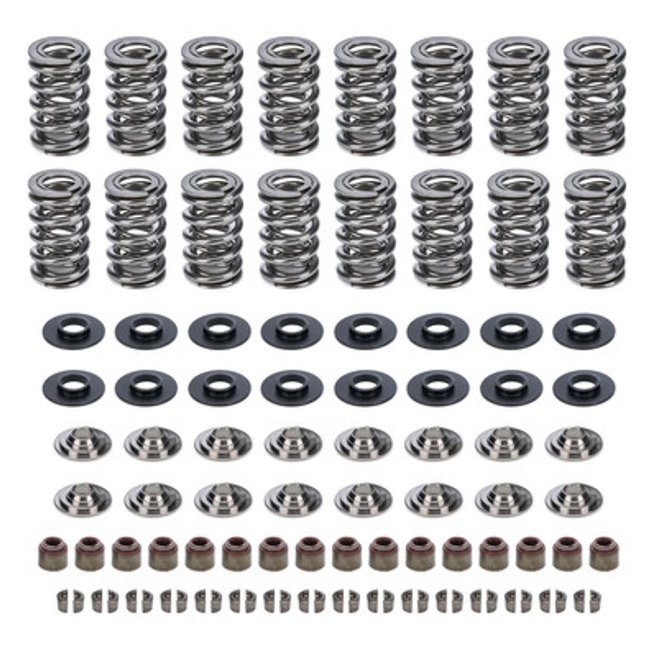 Cam Motion Dual Valve Spring Kit VSK143803 GM LS