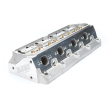 Dart SBF SHP Cylinder Head 128215 - 205cc/58cc (Bare)