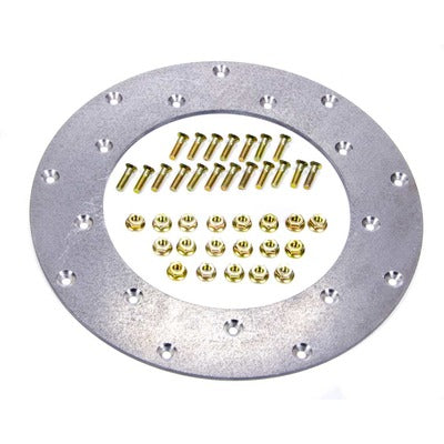 Fidanza Flywheel Insert Plate 229501