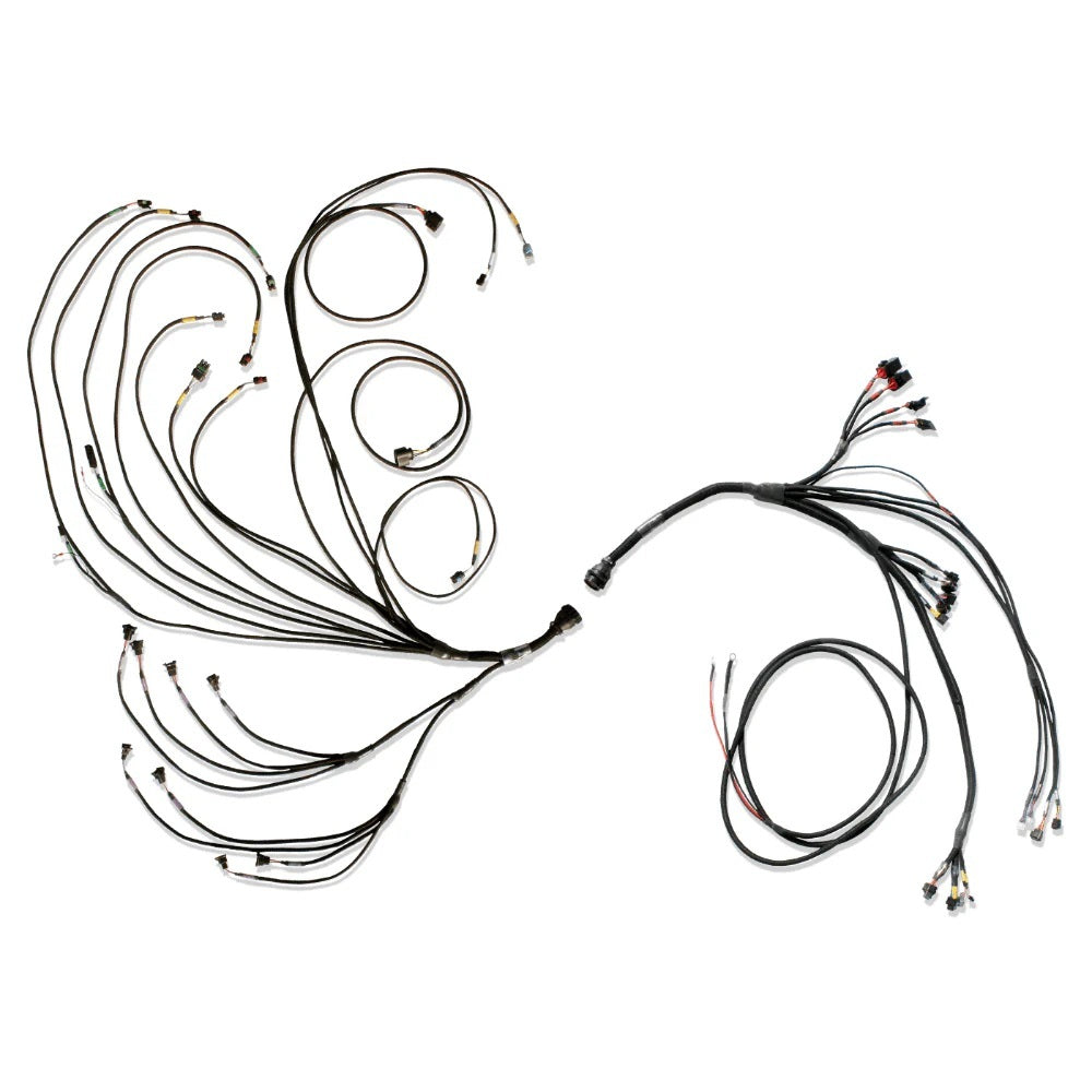 FuelTech Pro600 Ford V8 Engine Control Harness Complete 3026110977