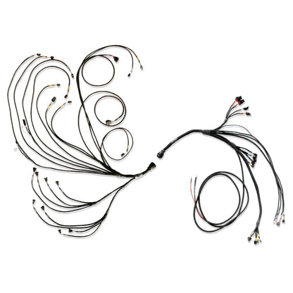 FuelTech Pro600 Ford V8 Engine Control Harness Complete 3026110977