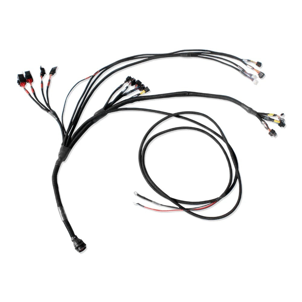 FuelTech Pro600 Ford V8 Engine Control Harness 