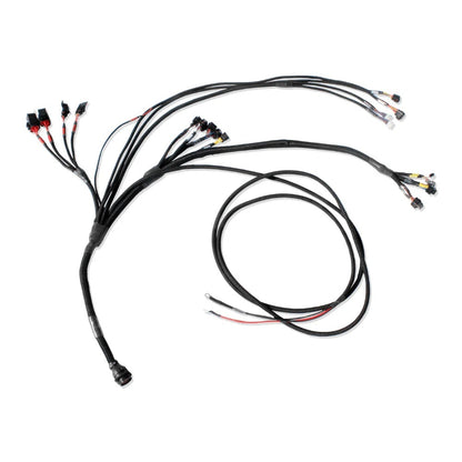 FuelTech Pro600 Ford V8 Engine Control Harness 