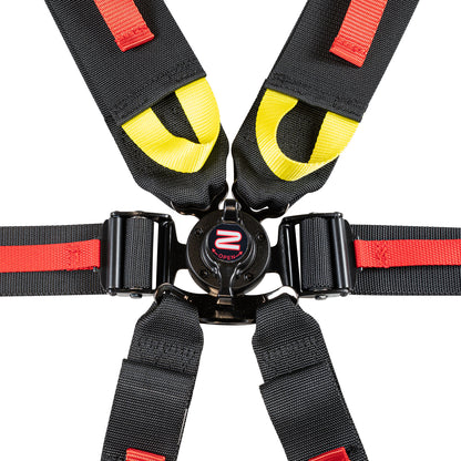 FIA 8853-2016 3"/2" 6-point Pull Down (Out) Seat Harness (Camlock)