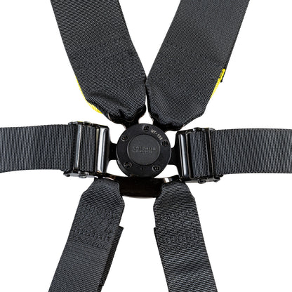 FIA 8853-2016 3"/2" 6-point Pull Down (Out) Seat Harness (Camlock latch)