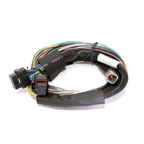 Haltech Elite 2500 Basic Univ. Wire Harness HT-141302