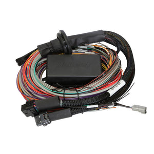 Haltech Elite 2500 Premium Universal Wire Harness HT-141304