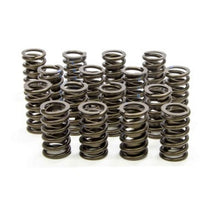 Isky Cams Valve Springs 295-D