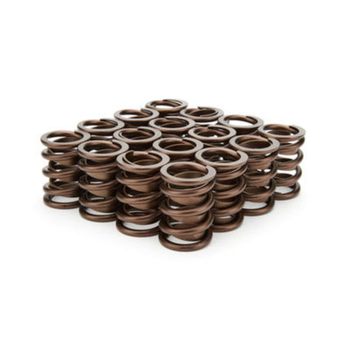 Isky Cams Valve Springs 3105-D