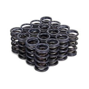 Isky Cams Valve Spring 4205