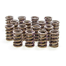 Isky Cams Valve Springs 6005