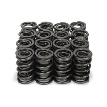 Isky Cams Valve Springs 700512