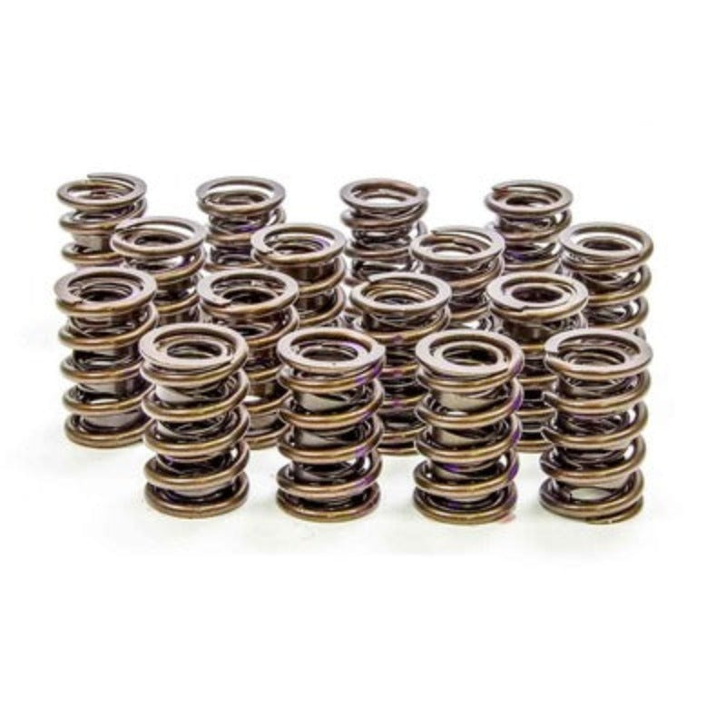 Isky Cams Valve Springs 8205