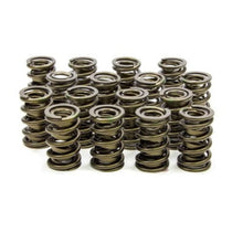 Isky Cams Valve Springs 9915