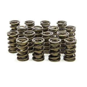 Isky Cams Valve Springs 9925