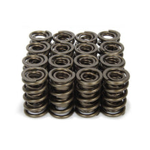 Isky Cams 1.570" Dual Valve Springs 9989RAD