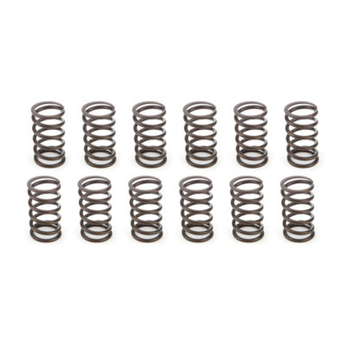 Isky Cams Outer Valve Springs (12pk) JA00512