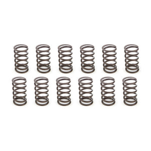 Isky Cams Outer Valve Springs (12pk) JA00512