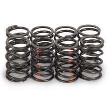 Isky Cams Valve Springs SP006