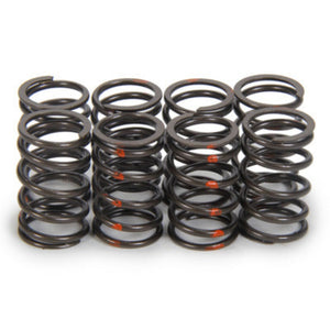 Isky Cams Valve Springs SP006