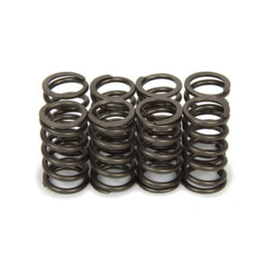 Isky Cams Valve Spring Set SP116